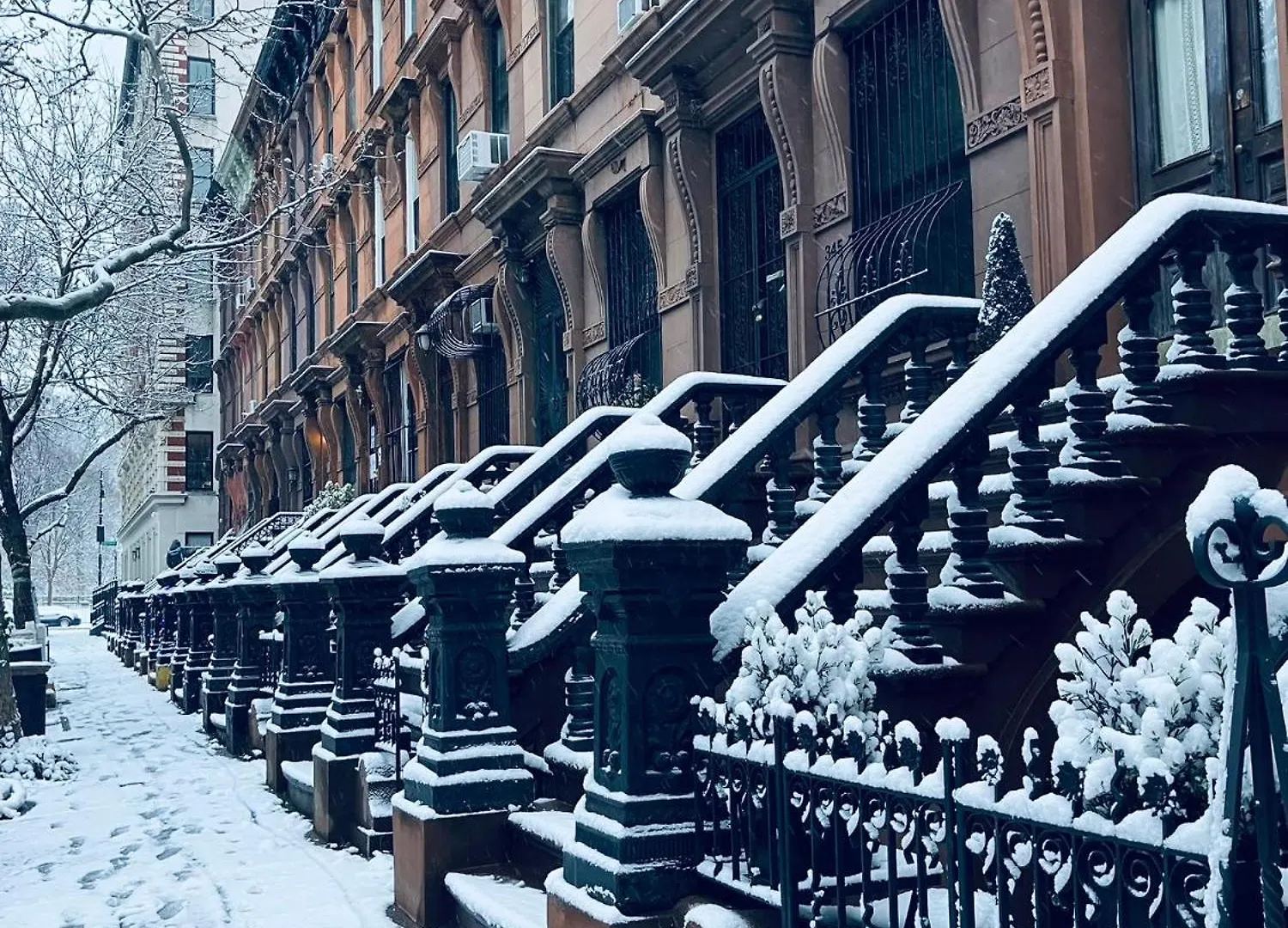 Harlem Grand Bed & Breakfast New York 4*,  ABD