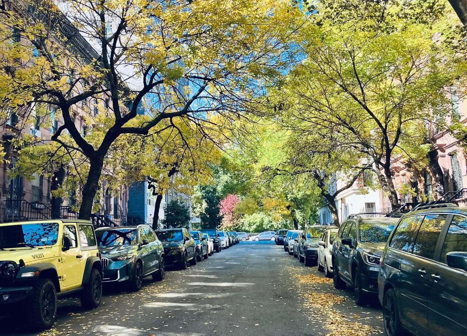 **** Bed & Breakfast Bed and Breakfast Harlem Grand New York Stati Uniti