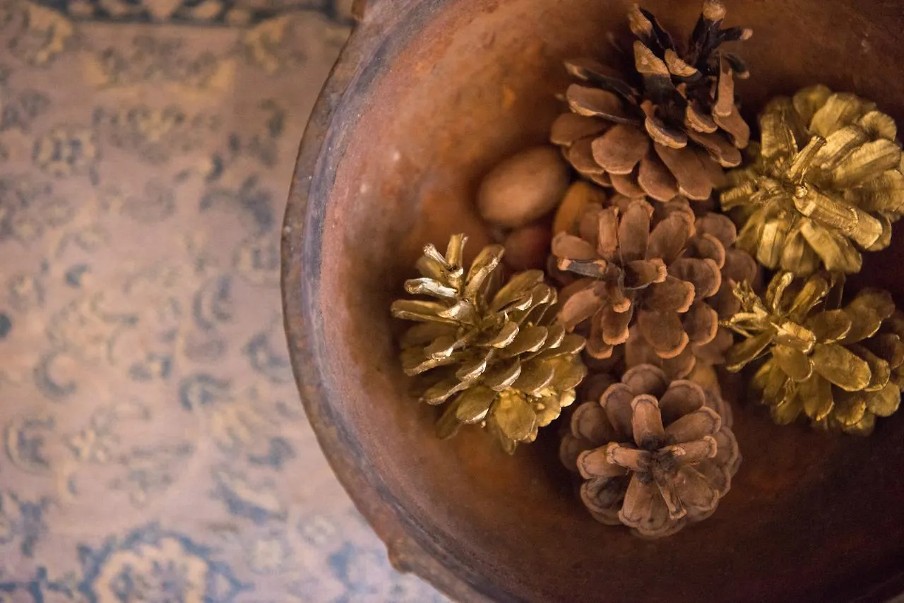 Bed and Breakfast Harlem Grand New York Stati Uniti