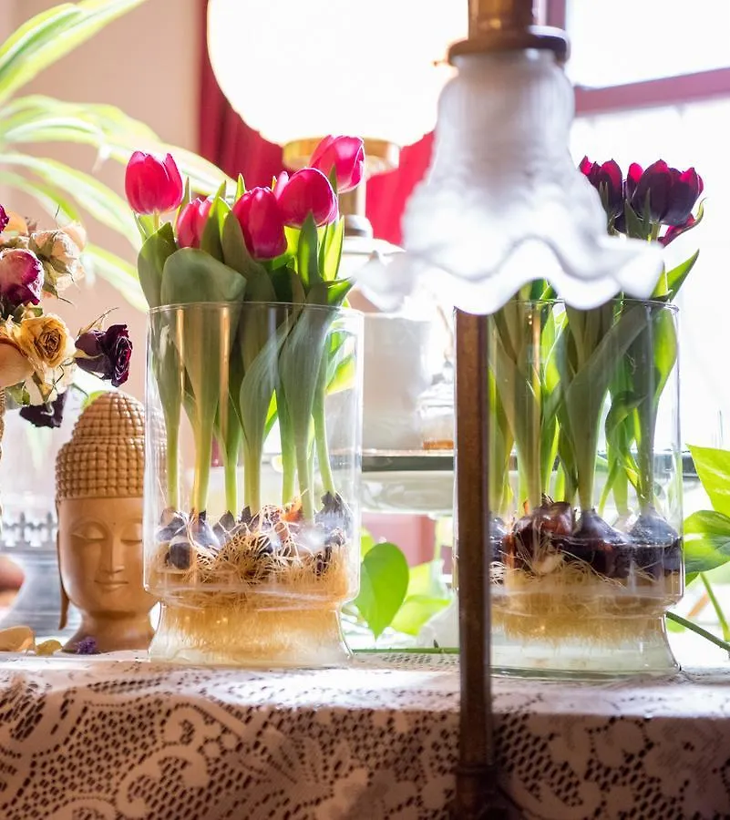 **** Bed & Breakfast Bed and Breakfast Harlem Grand New York Stati Uniti
